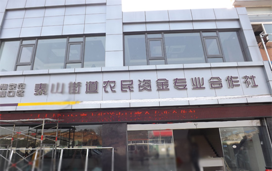 浦口農民資金專業合作社、綜合安防系統